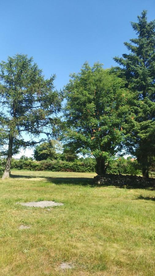 Urlaub Bei Hauenstein Born Exterior foto