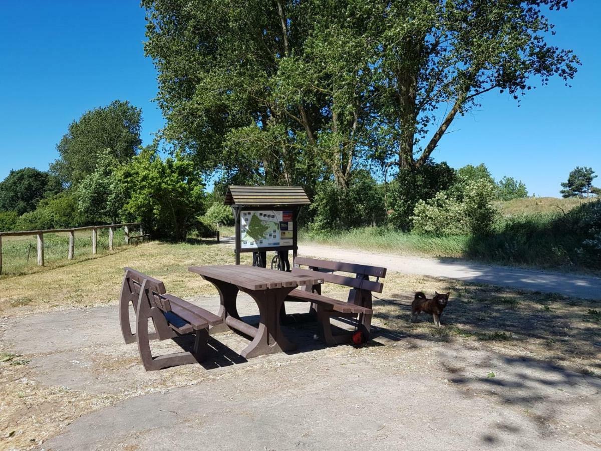 Urlaub Bei Hauenstein Born Exterior foto